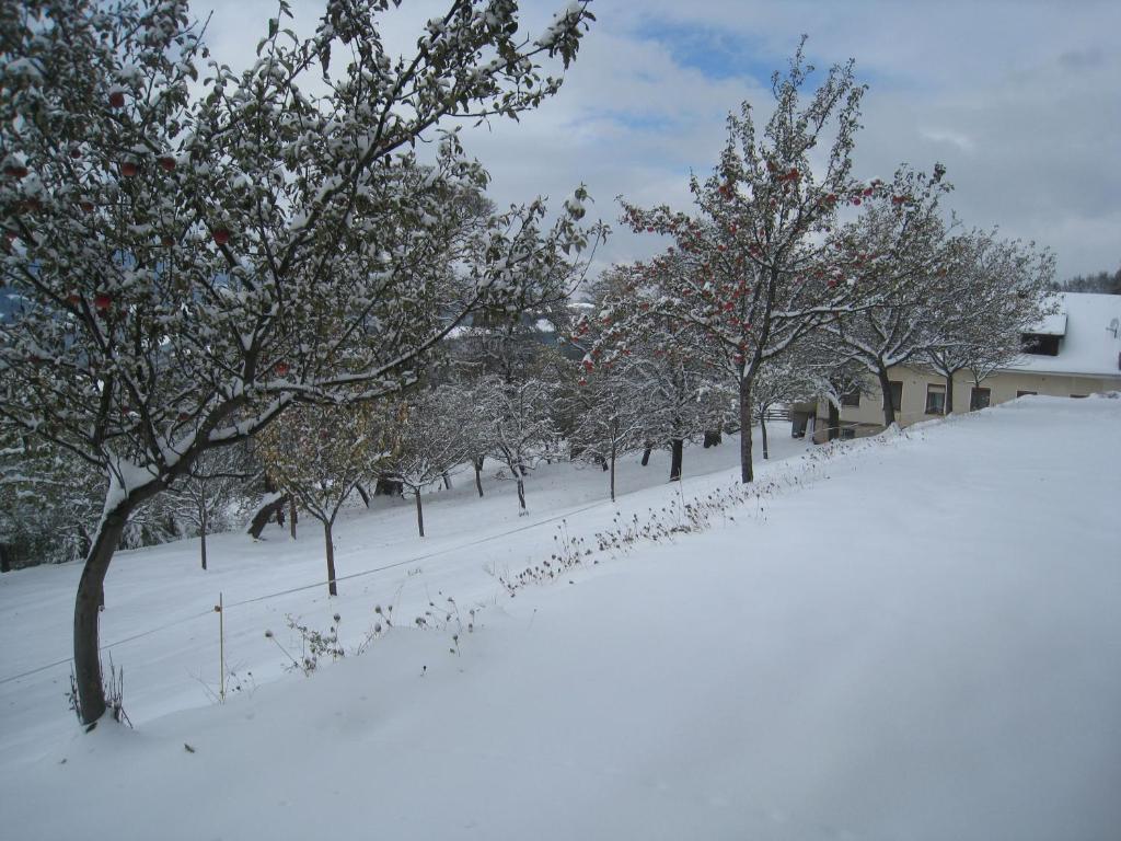 הוילה Edlitz Wachahof מראה חיצוני תמונה